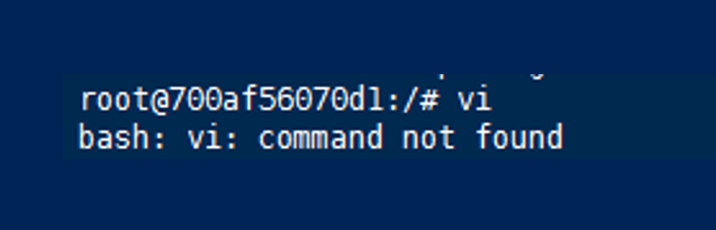 /docker-vi-not-find-error/featured-image.jpg